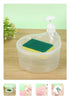 2 in 1 Liquid Soap Dispenser with Pump and Sponge