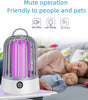 🦟🚫  USB Mosquito & Bugs Killer UV LED Lamp 🦟🚫